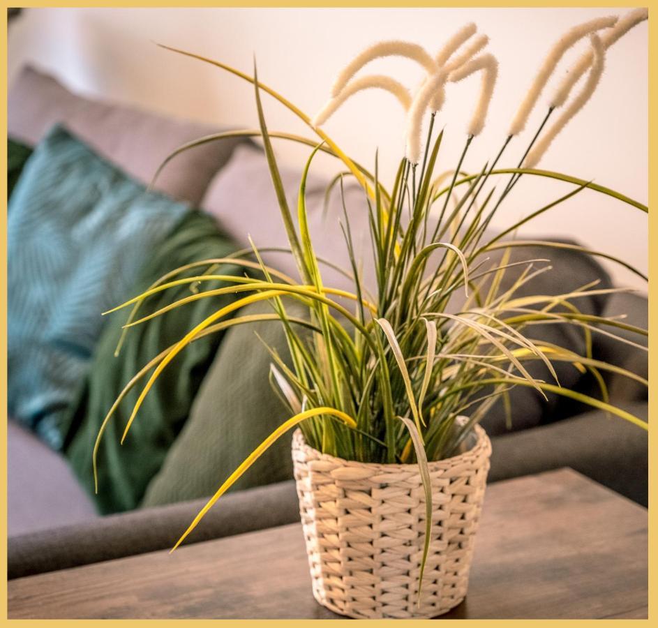 Appartement T3 I Cozy I دوفاين المظهر الخارجي الصورة