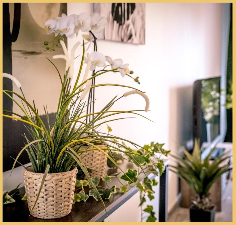 Appartement T3 I Cozy I دوفاين المظهر الخارجي الصورة
